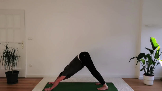 Evening Yoga with Samuel - SunSet Yoga